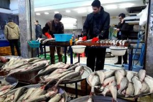 قیمت انواع ماهی در هفته پایانی خردادماه/ این ماهی کیلویی ۹۹۰ هزار تومان قیمت خورد